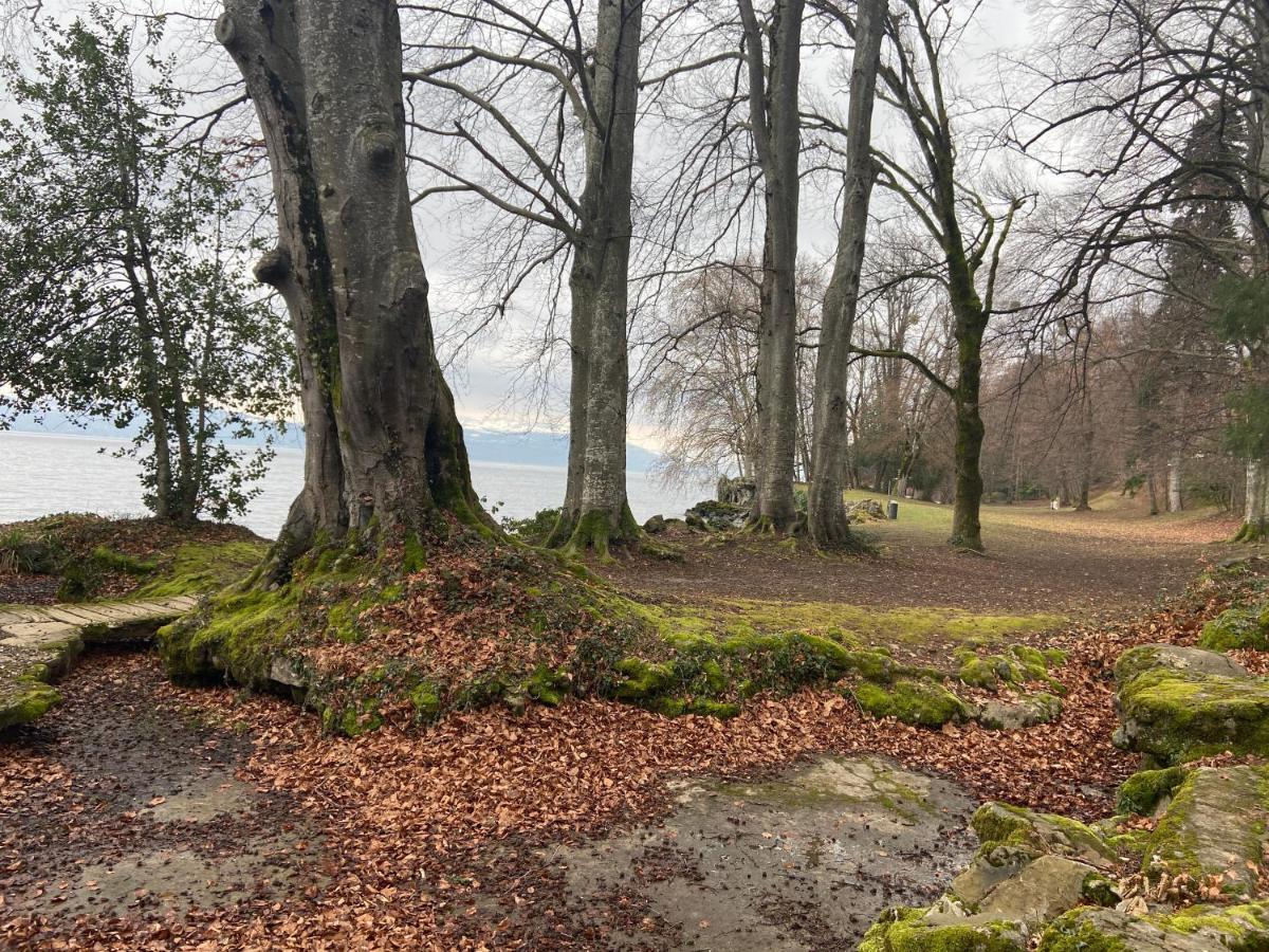 Bord De Lac,2 Chambres Superbe Vue Lac 5Mn Evian Lugrin Exteriér fotografie
