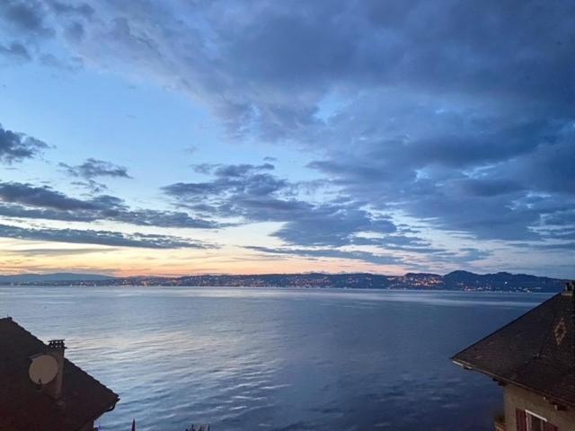 Bord De Lac,2 Chambres Superbe Vue Lac 5Mn Evian Lugrin Exteriér fotografie